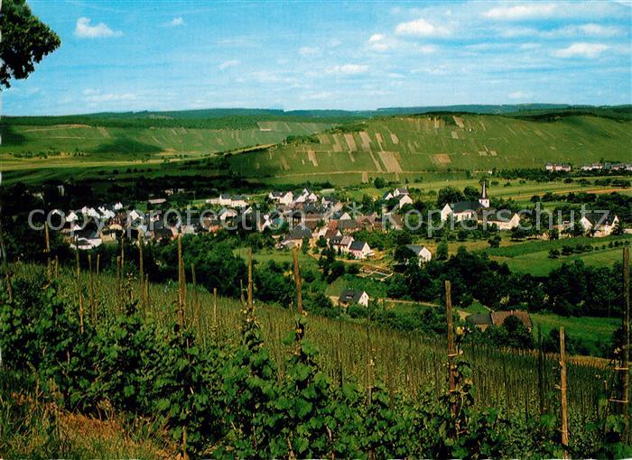 Noviand Panorama Weinberge