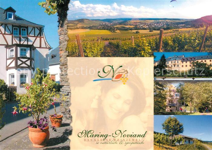 Maring-Noviand Teilansichten Landschaftspanorama Weinberge