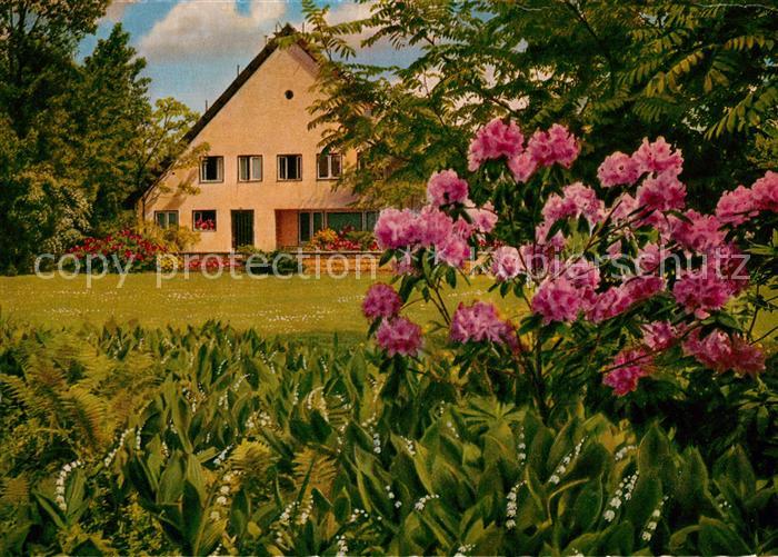 BERLIN  DE Teehaus im Tiergarten Rhododendron