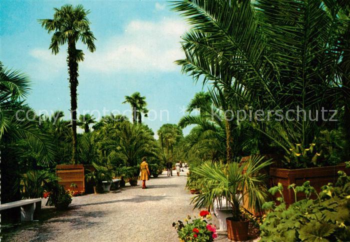 Bad Pyrmont Palmengarten Kurpark