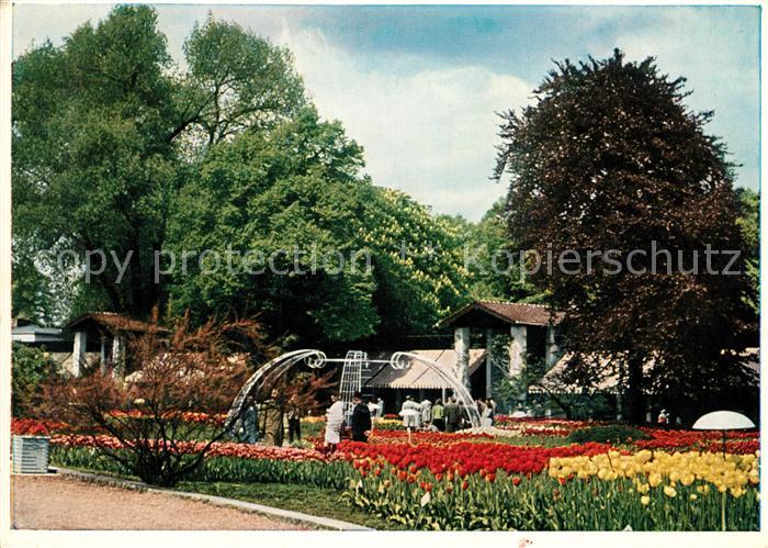 Hamburg Planten un Blomen Kakteenhaeuser Ausstellungspark