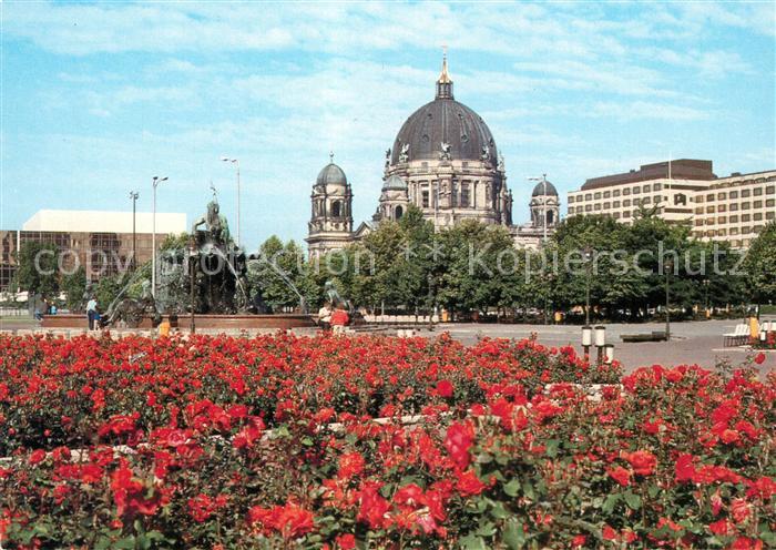 BERLIN  DE Palast der Republik und Dom Blumenbeet Hauptstadt der DDR