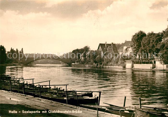Halle Saale Saalepartie mit Giebichenstein Bruecke
