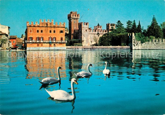 Lazise Lago di Garda Schwaene
