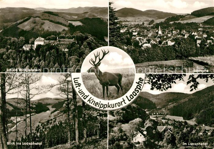 Laasphe BAD LAASPHE NRW Schloss Wittgenstein Panorama Laasphetal Hirsch