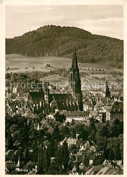 Freiburg Breisgau Muenster