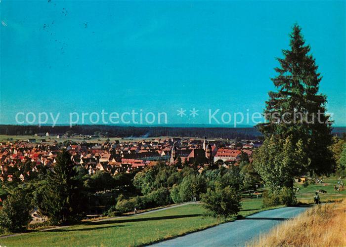 FREUDENSTADT BW Panorama