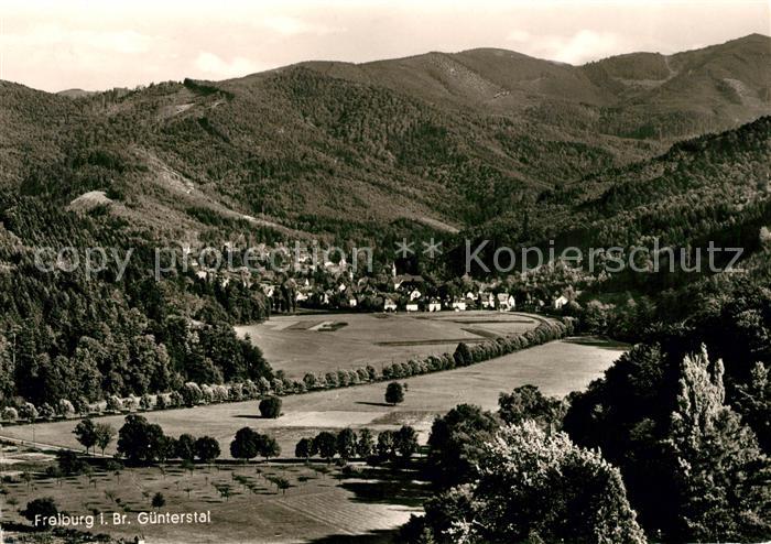 Guenterstal Freiburg Panorama