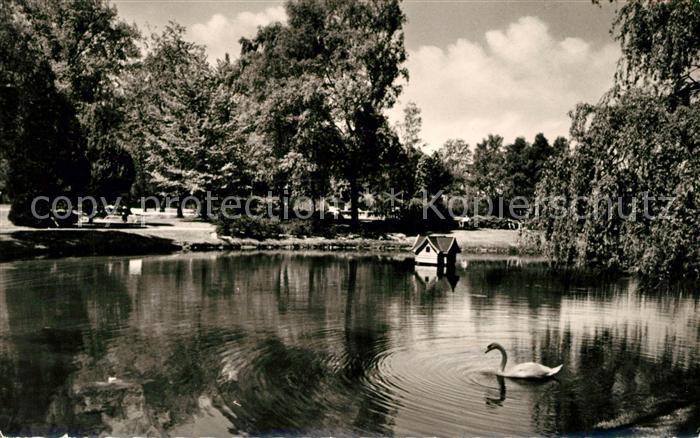 Bad Salzuflen Schwanenteich