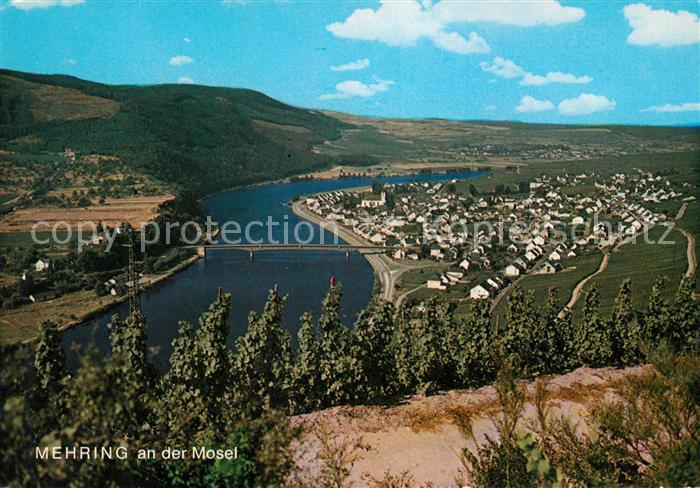 Mehring Mosel Panorama Weinberge