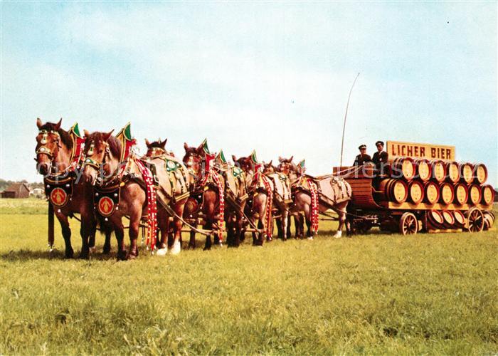 Lich Hessen Achterzug der Brauerei Ihring Melchior KG Belgische Kaltblueter