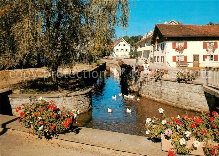 Bad Woerishofen Partie am Muehlbach Enten