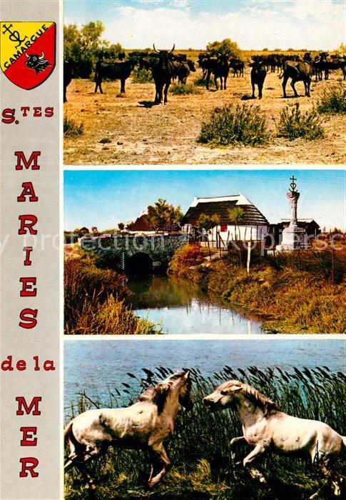 Saintes-Maries-de-la-Mer La Camargue Manade de Toureaux Cabanes de Gardians et l