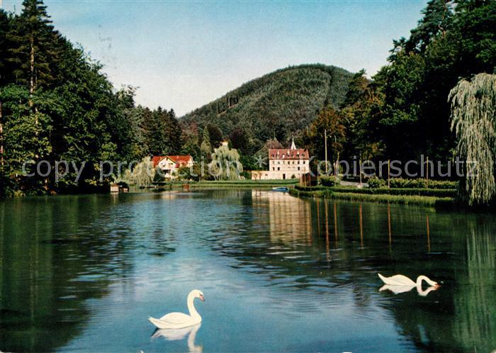 Bad Bergzabern Schwanenweiher