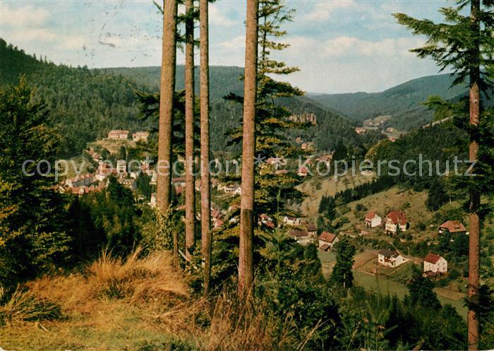 Bad Herrenalb Panorama Blick vom Wurstberg Schwarzwald