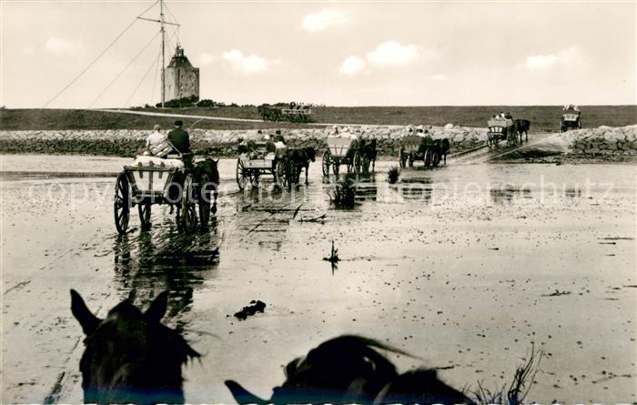 Insel Neuwerk Ankunft Wattwagen von Duenen