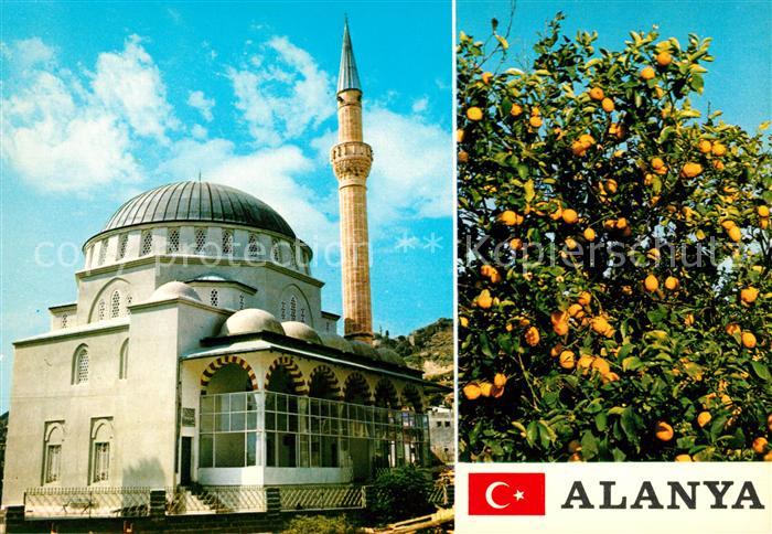 Alanya Moschee Zitronenbaum