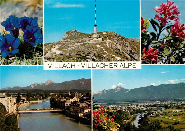 Villach Kaernten Villacher Alpe Enzian Alpenrose Sendemast