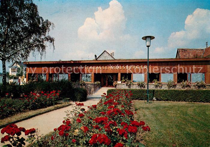 Oestrich-Winkel Maisbergers Rheinterrasse Winstube