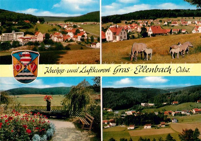 Gras-Ellenbach Park Pferdekoppel Panorama