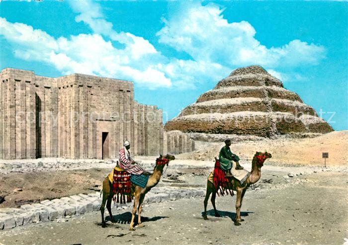 Kamel  Camel Chameau Sakkara King Zoser's Step Pyramid