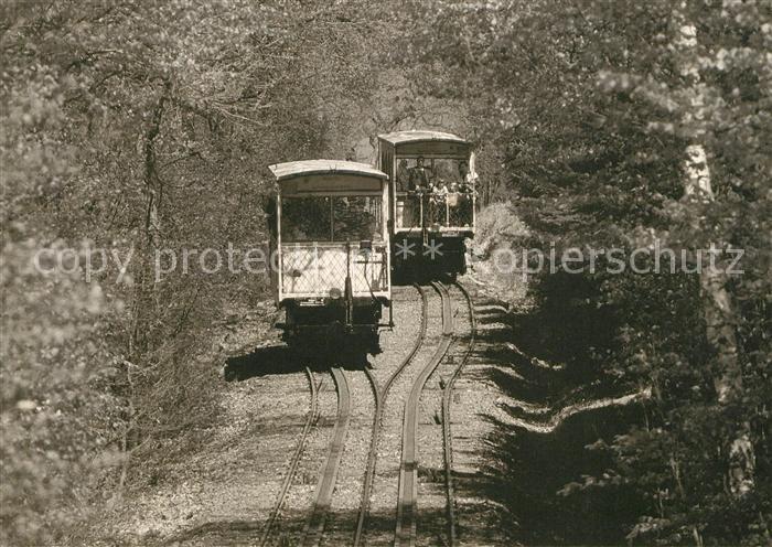 Nerobergbahn Jubilaeumsjahr Wagenpaar