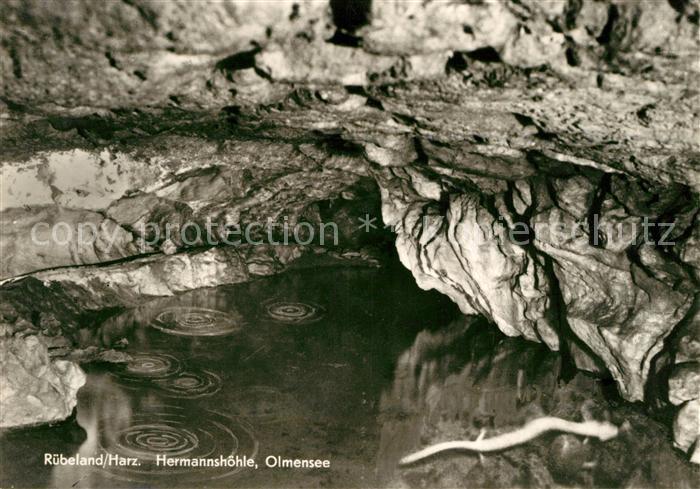 Hoehlen Caves Grottes Hermannshöhle Olmensee Rübeland