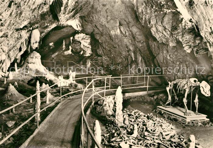 Hoehlen Caves Grottes Hermannshöhle Bärenfriedhof Kanzel Rübe
