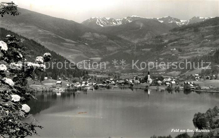 Feld See Seepartie