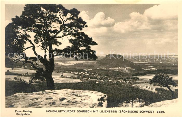 Gohrisch mit Lilienstein