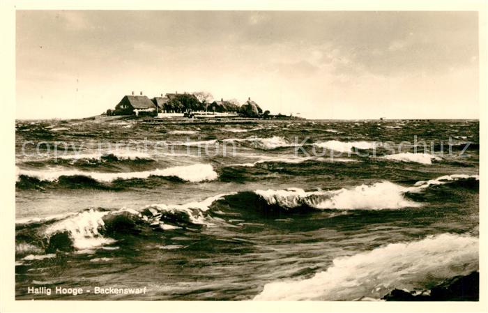 Hallig Hooge Backenswarf