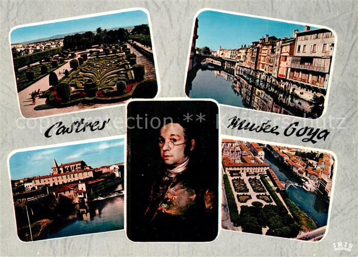 Castres Tarn Musee Goya