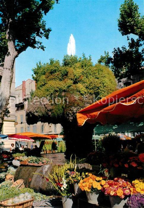 Salon-de-Provence La Fontaine Moussue