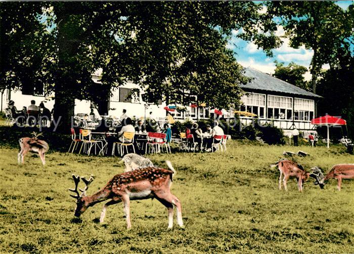 Braunfels Forsthaus Tiergarten Restaurant Wild