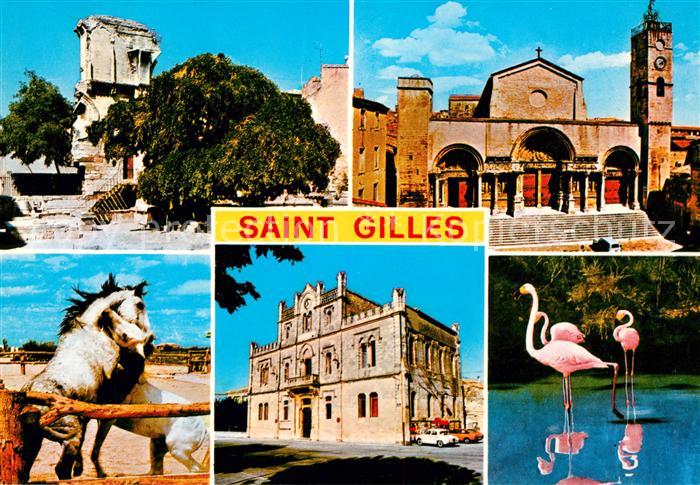 Saint-Gilles Gard Flamingos Pferde