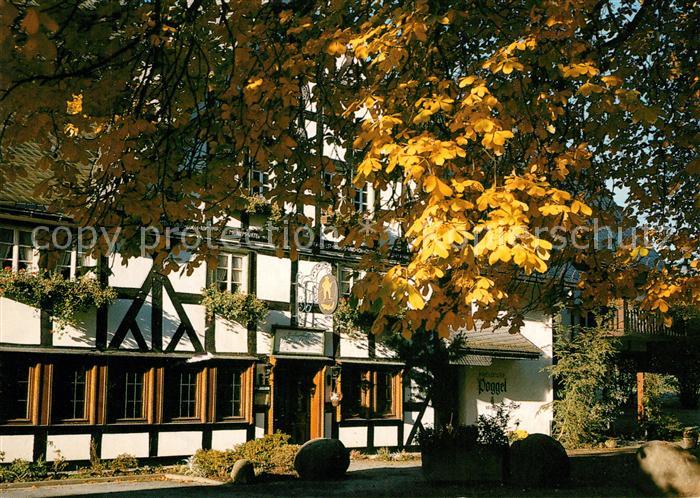 Eslohe Sauerland Hotel Forellenhof Poggel