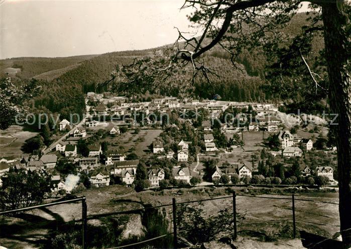 Herrenalb Bad Herrenalb Ortsblick