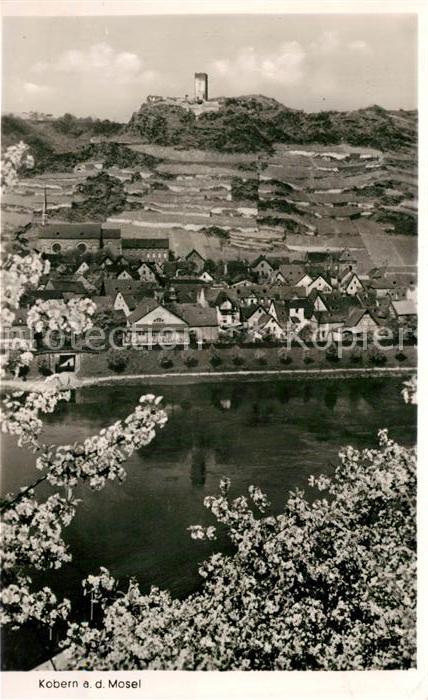 Kobern-Gondorf Baumbluete Blick ueber die Mosel Burg