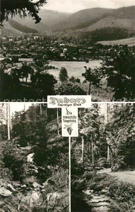 Tabarz Landschaftspanorama Bach