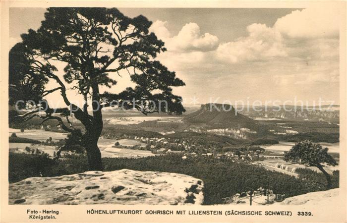 Gohrisch Landschaftspanorama mit Lilienstein Tafelberg Saechsische Schweiz