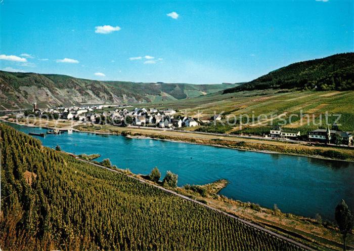 Ernst Cochem Panorama Moseltal Weinberge Cornely Karte Nr 11466