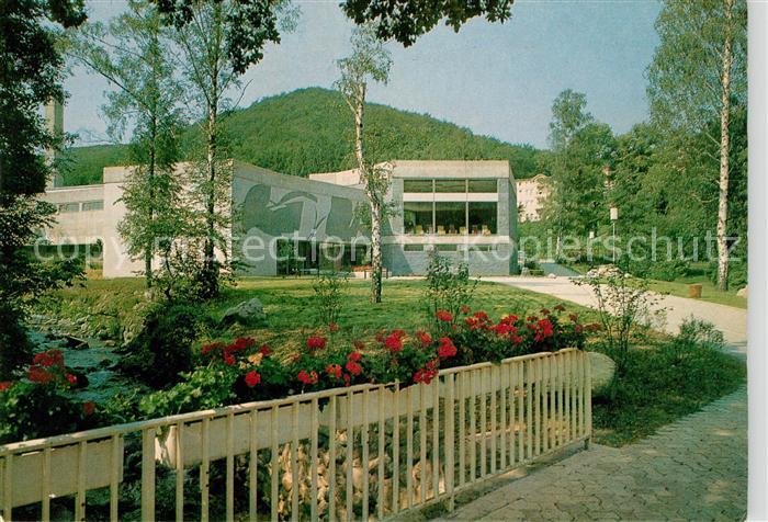 Bad Harzburg Juliusbad im Kurpark Thermalsole Hallenbad