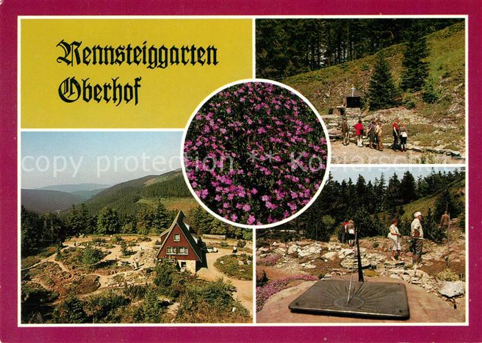 Oberhof Thueringen Rennsteiggarten Gaststaette Sonnenuhr Gebirgsflora Wandern