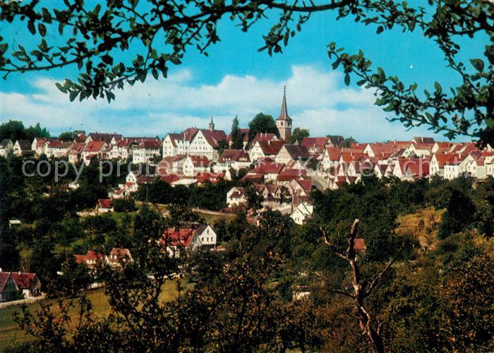 Weil Schoenbuch Ortsansicht mit Kirche Ansicht vom Waldrand aus