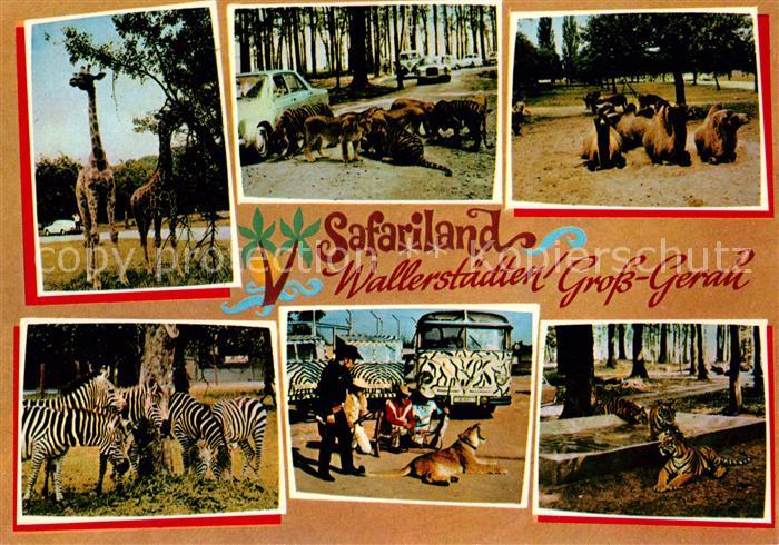 Wallerstaedten Safariland Tiere