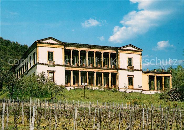 Edenkoben Schloss Villa Ludwigshoehe Serie Burgen Schloesser und Altertuemer Rhe