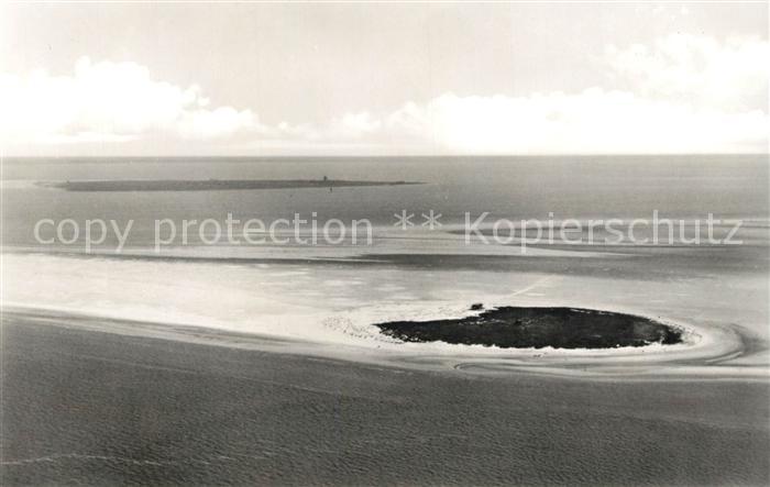 Scharhoern Fliegeraufnahme