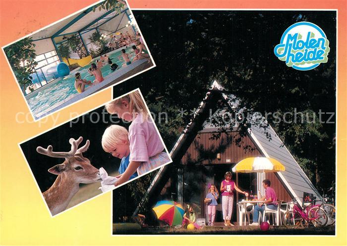 Helchteren Park Molenheide Hallenbad Bungalow Wildfuetterung