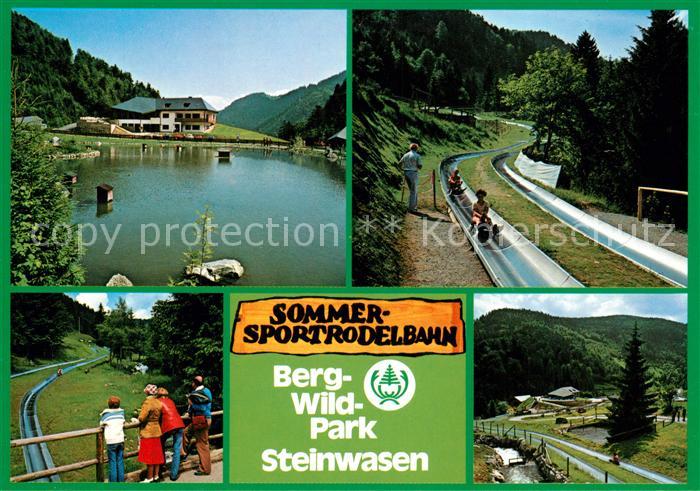 Todtnau Berg Wild Park Steinwasen Schwanenteich Sommerrodelbahn