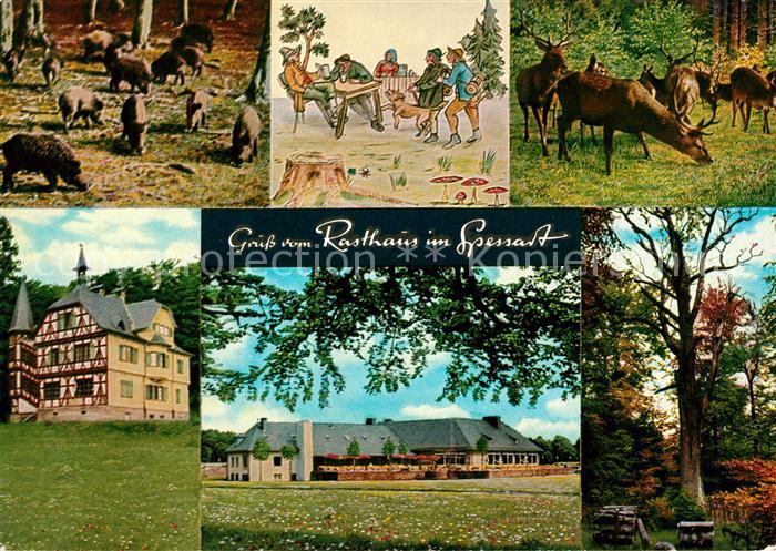 Rohrbrunn Autobahn Rasthaus im Spessart Motel Wildschweinrotte Rotwild